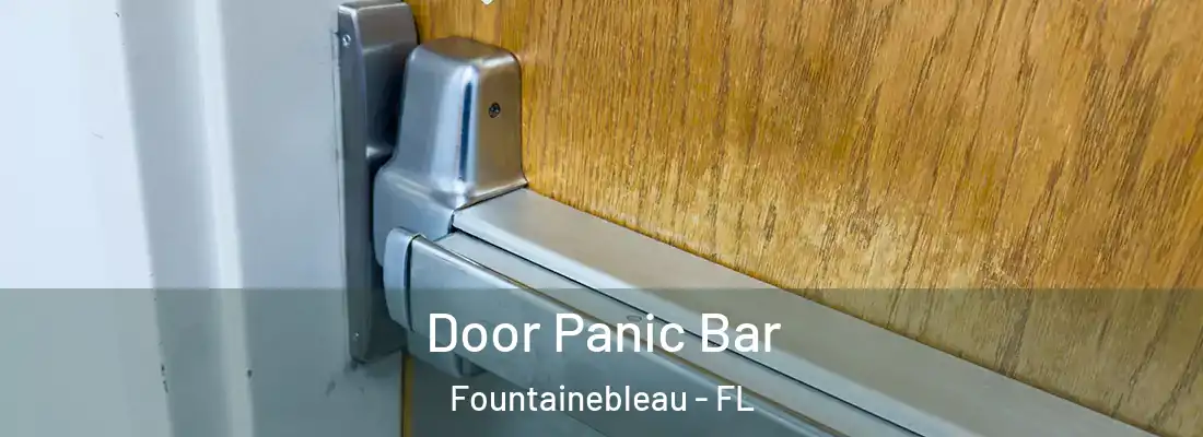 Door Panic Bar Fountainebleau - FL
