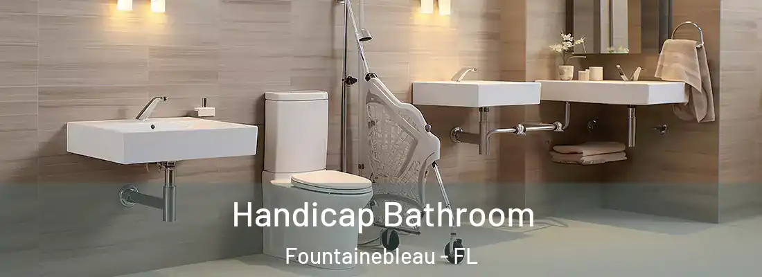 Handicap Bathroom Fountainebleau - FL