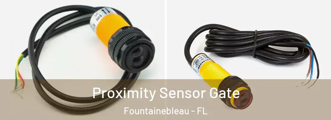 Proximity Sensor Gate Fountainebleau - FL